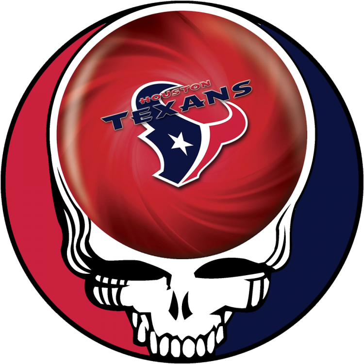 Hoston Texans skull logo DIY iron on transfer (heat transfer)
